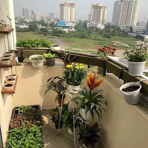 cho thuê căn hộ chung cư an hòa quận 2, giá 13,5tr/tháng
