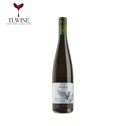 Miguel Torres Andica Reserva Gewurztraminer Curico Valley