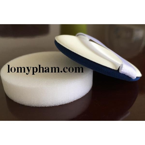 Miếng bọt biển