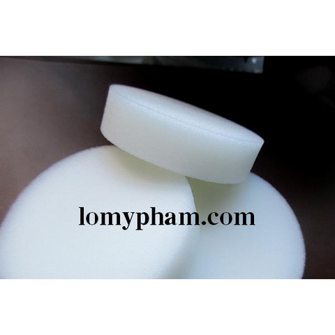 Miếng bọt biển