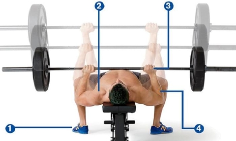 4 Tư Thế - Phối Hợp Cơ Thể Khi Tập Vai Ngực Siêu Hiệu Quả