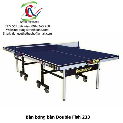 Bàn bóng bàn Double Fish 233