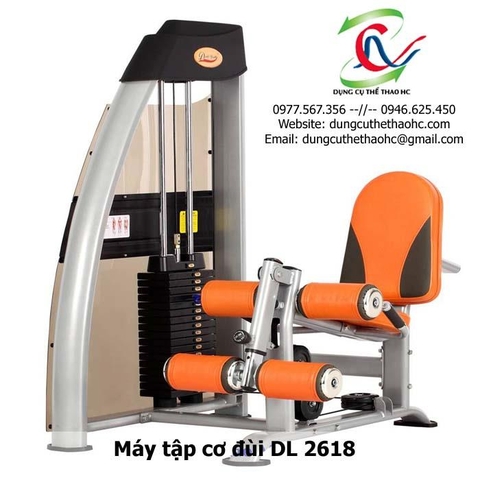 Máy tập cơ đùi DL 2618