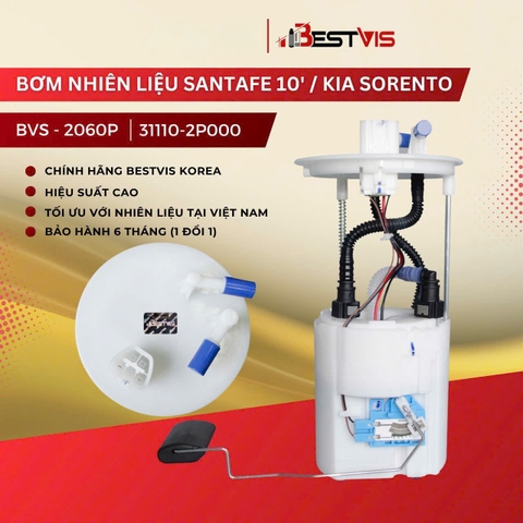 Cụm bơm xăng Hyundai SantaFe, Kia Sorento 2.4L 2010- 2015 (2 vòi) | 31110-2P000