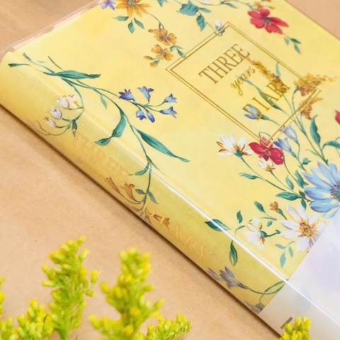 SỔ NHẬT KÝ B6 APICA 3 YEAR D310