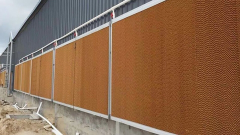 Sử dụng tấm làm mát Cooling Pad cho nhà xưởng có hiệu quả không?