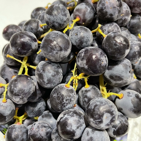 Nho đen Summer Royal Mỹ