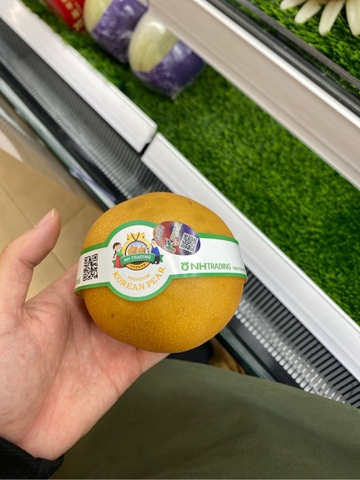 Quả Lê tươi Hàn Quốc 5Kg/thùng