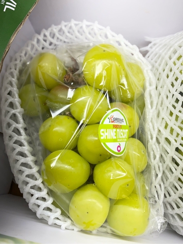 Nho Sữa Hàn Quốc