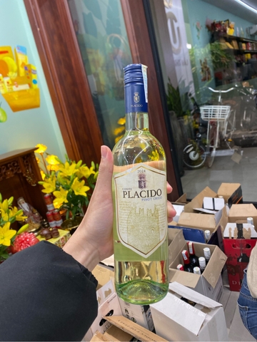 Rượu vang trắng Placido Pinot Grigio