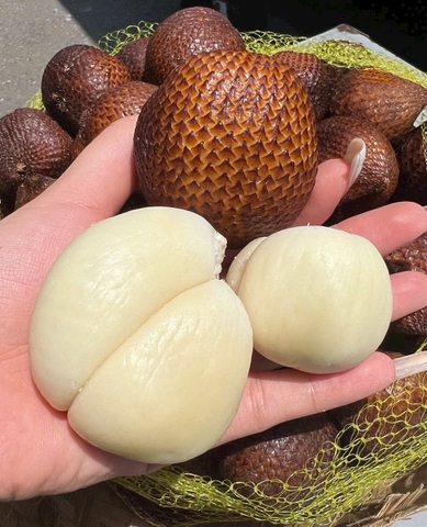 Mây bali