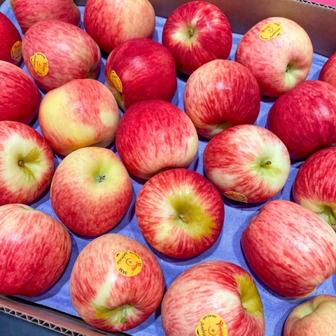 Táo Ambrosia Yummy New Zealand