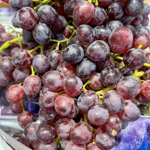 Nho kẹo Candy Dream Mỹ