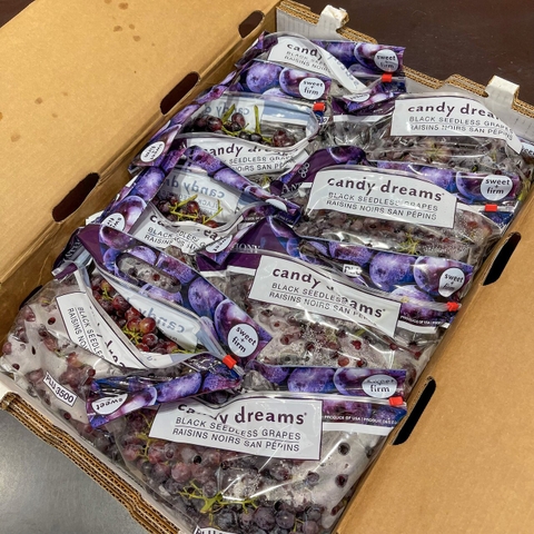 Nho kẹo Candy Dream Mỹ