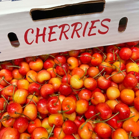 Cherry Vàng Rainier Mỹ