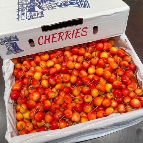 Cherry Vàng Rainier Mỹ