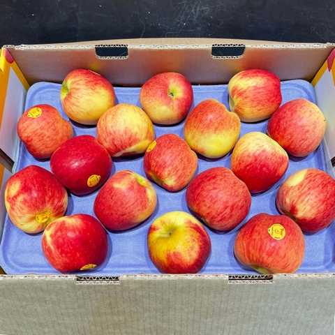 Táo Ambrosia Yummy New Zealand