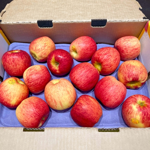 Táo Ambrosia Yummy New Zealand