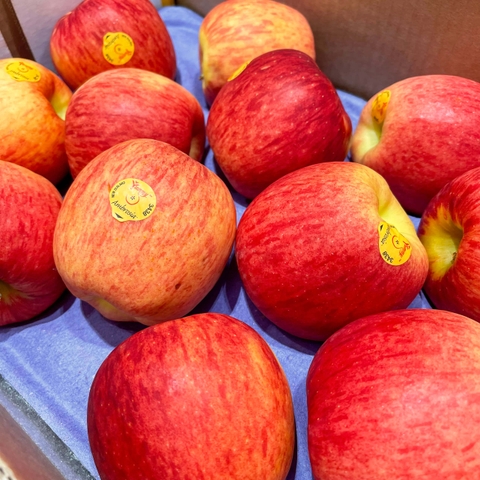 Táo Ambrosia Yummy New Zealand