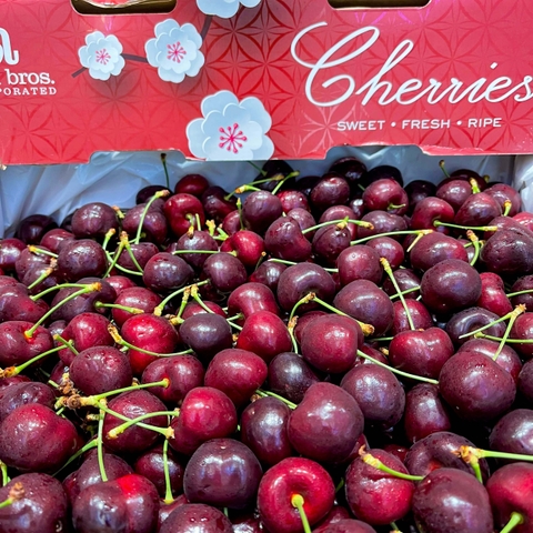 Cherry Đỏ Mỹ