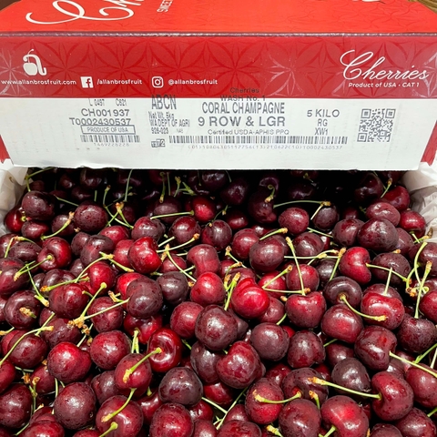 Cherry Đỏ Mỹ