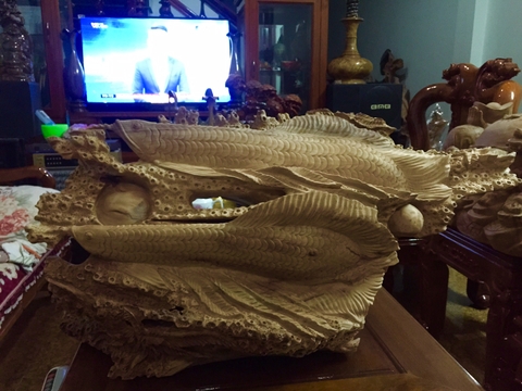 CÁ RỒNG (CA:  02)