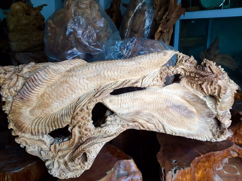 CÁ RỒNG (CA:  01)