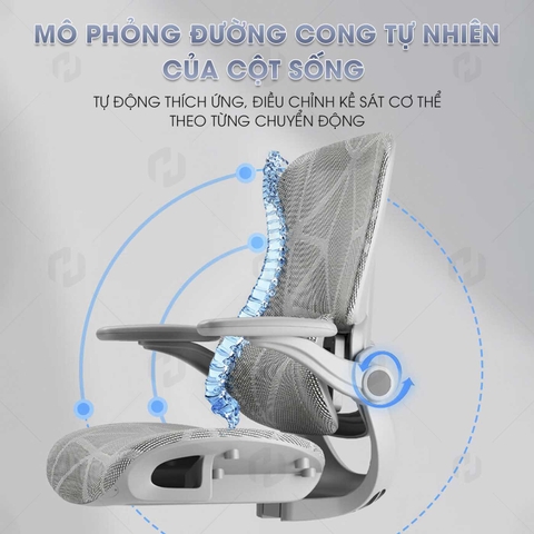 Ghế công thái học 927-1, Ghế xoay văn phòng chuẩn ergonomic