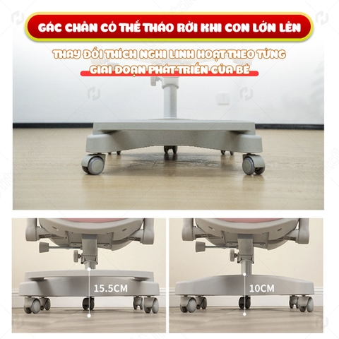 Phụ Kiện Ghế Chống Gù Lưng CM808
