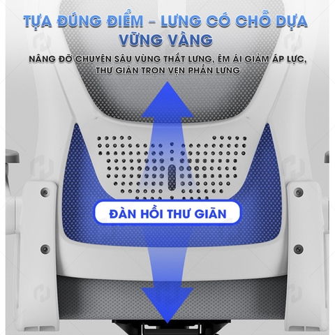 Ghế Xoay Văn Phòng Công Thái Học HTD-588