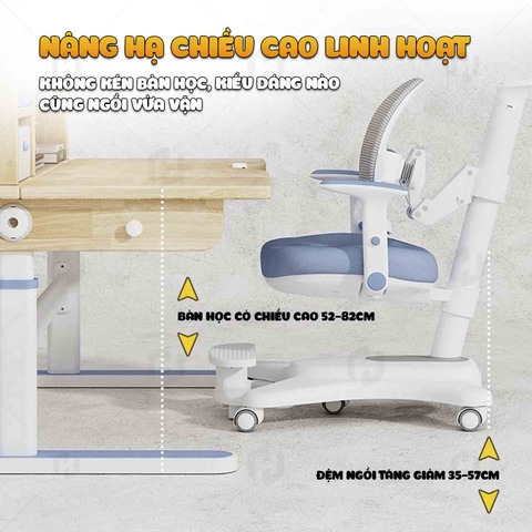 Ghế học sinh chống gù ZX04