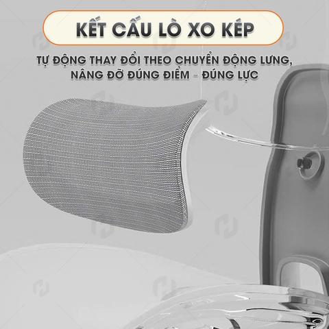 Ghế Công Thái Học HTD-909