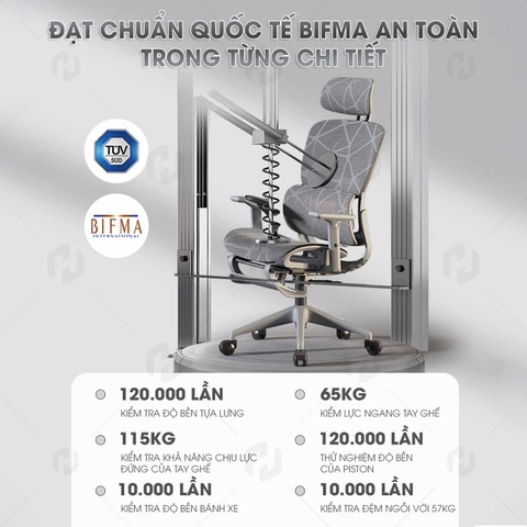 Ghế Văn Phòng Ergonomic 919 Full lưới – Tựa Lưng Chuẩn S-Curve, Ngồi Lâu Không Mỏi