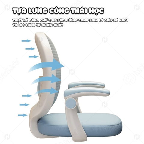 Phụ Kiện Ghế Chống Gù Lưng NTL10