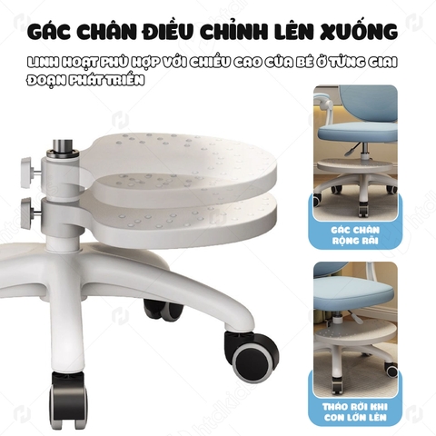 Phụ Kiện Ghế Chống Gù Lưng NTL10