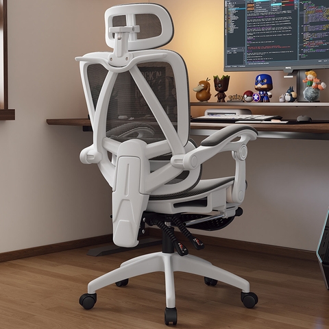 Ghế công thái học HTD-806