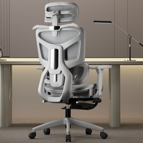 Ghế công thái học HTD-905