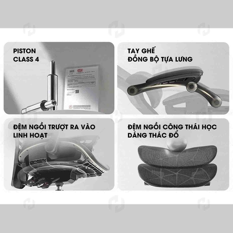 Ghế công thái học HTD-W892