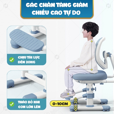 Phụ Kiện Ghế Chống Gù Lưng Zx02