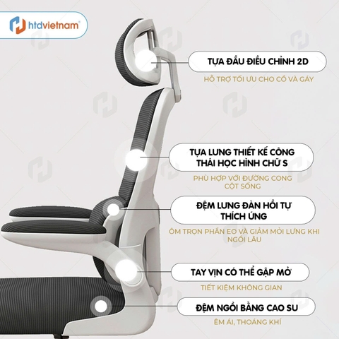 Ghế Văn Phòng S1 Công Thái Học, Ngồi Chuẩn Tư Thế, Chống Đau Lưng
