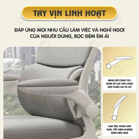 Ghế Văn Phòng S1 Công Thái Học, Ngồi Chuẩn Tư Thế, Chống Đau Lưng