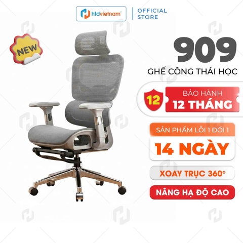 Ghế Công Thái Học HTD-909