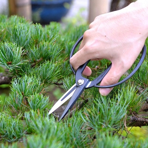 Kéo cắt tỉa cành 200mm Kakuri 48022