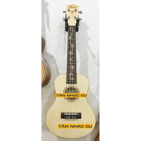 Đàn Ukulele Concert Chard UK26H