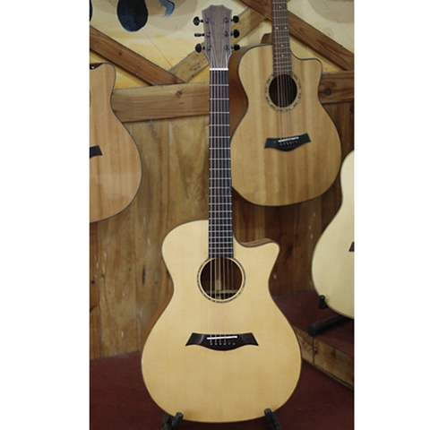 Đàn Guitar Acoustic Trần TM29