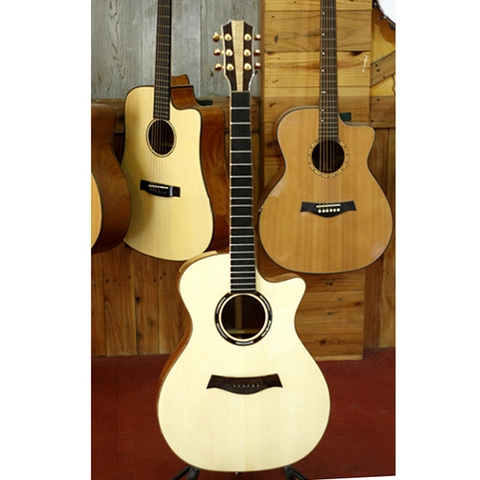 Đàn Guitar Acoustic Trần TV60