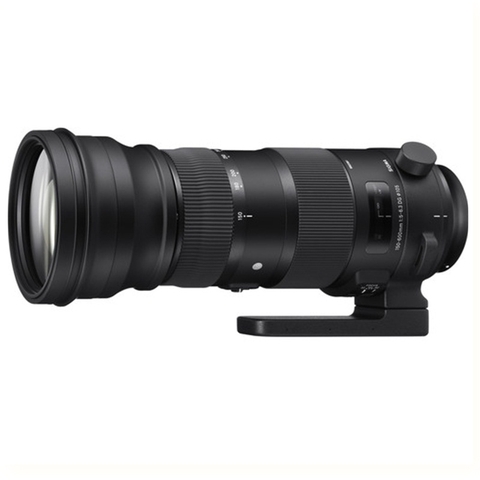 Sigma 150-600mm F5-6.3 DG OS HSM Sport for Canon/ Nikon/ Sony (New)