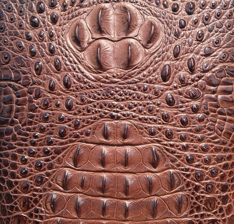 Cách chọn mua ví nữ gai cá sấu da thật chính hãng