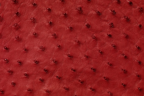 Tại sao ví nam da đà điểu lại thu hút phái mạnh hiện nay?