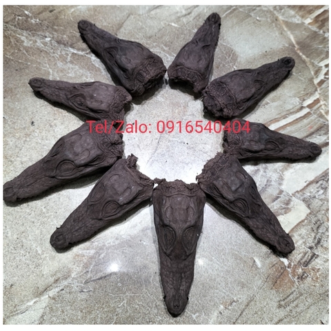 Đầu da cá sấu màu đen HD1219